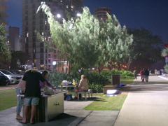 Surfers Paradise Beach