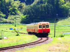 小湊鉄道　春