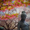 桜と女性像