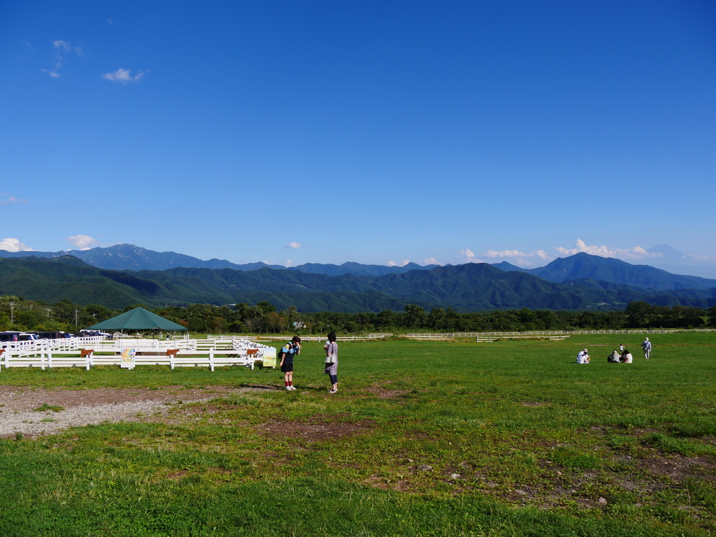 高原の夏