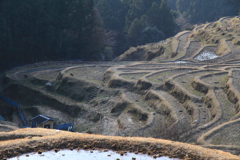 千枚田の来客