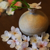 テーブルフォト”桜”
