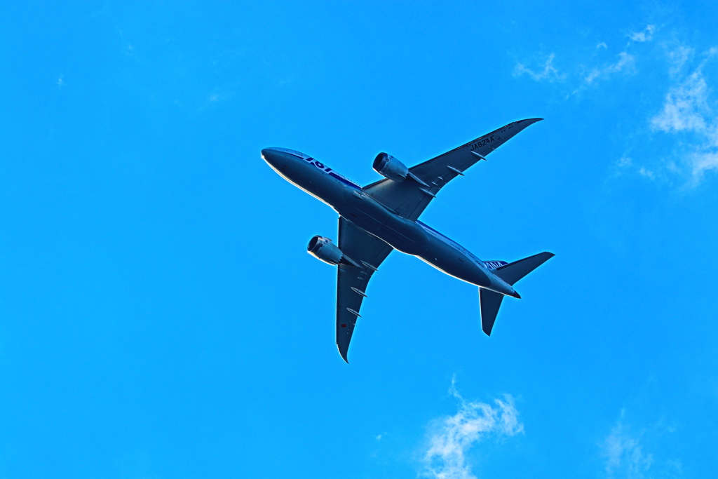 ANA787
