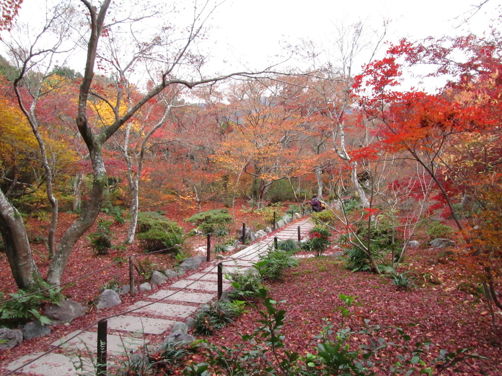 宝筐院　晩秋