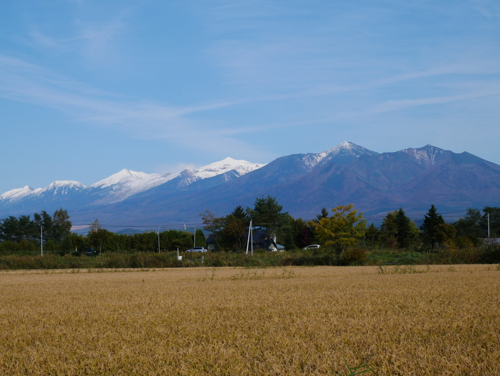 冠雪