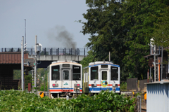 真夏の列車交換