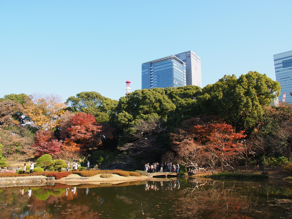 晩秋の二の丸庭園