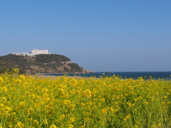 伊良湖岬の春