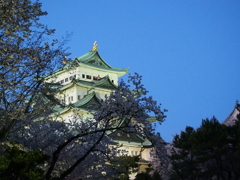 名古屋城　夜桜'16