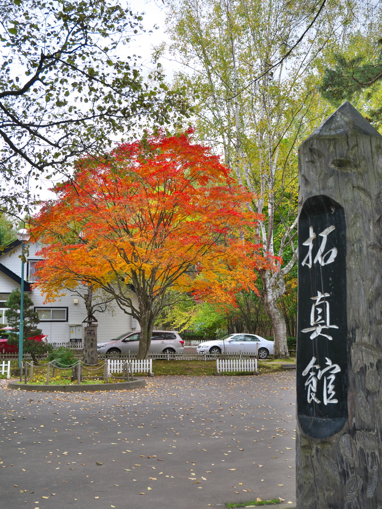 秋の拓真館