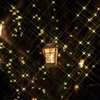 クリスマスナイト