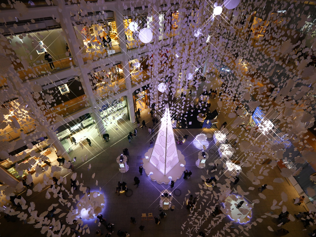 Christmas night