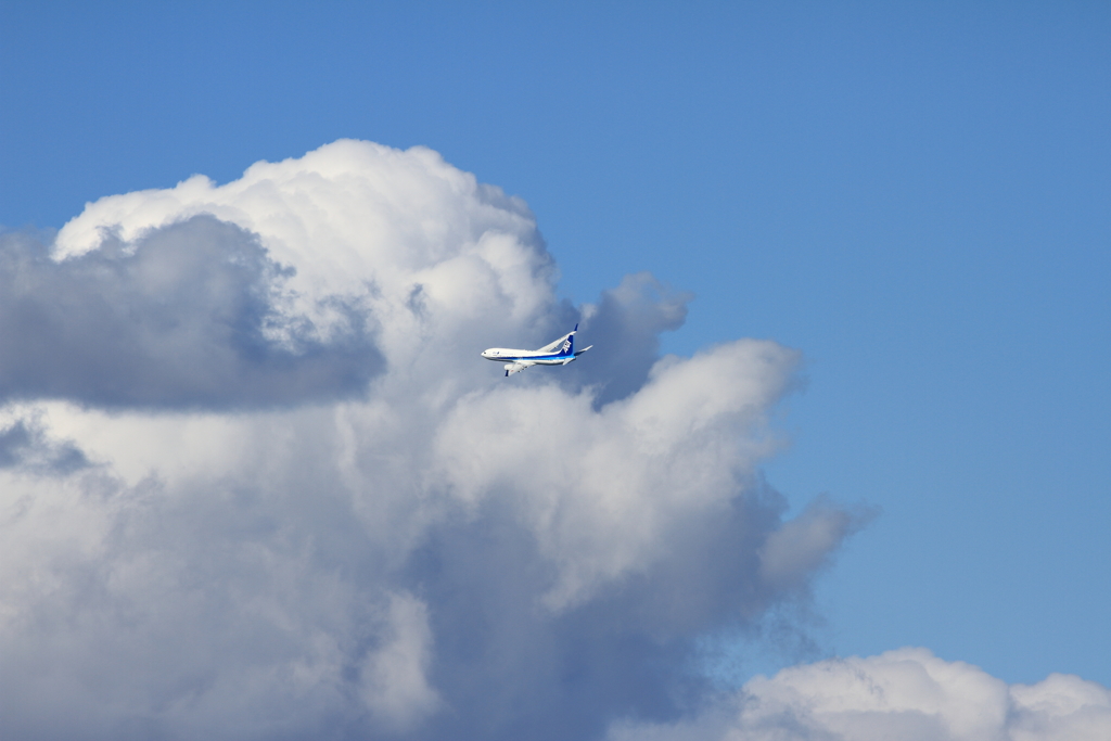 ANA B-737