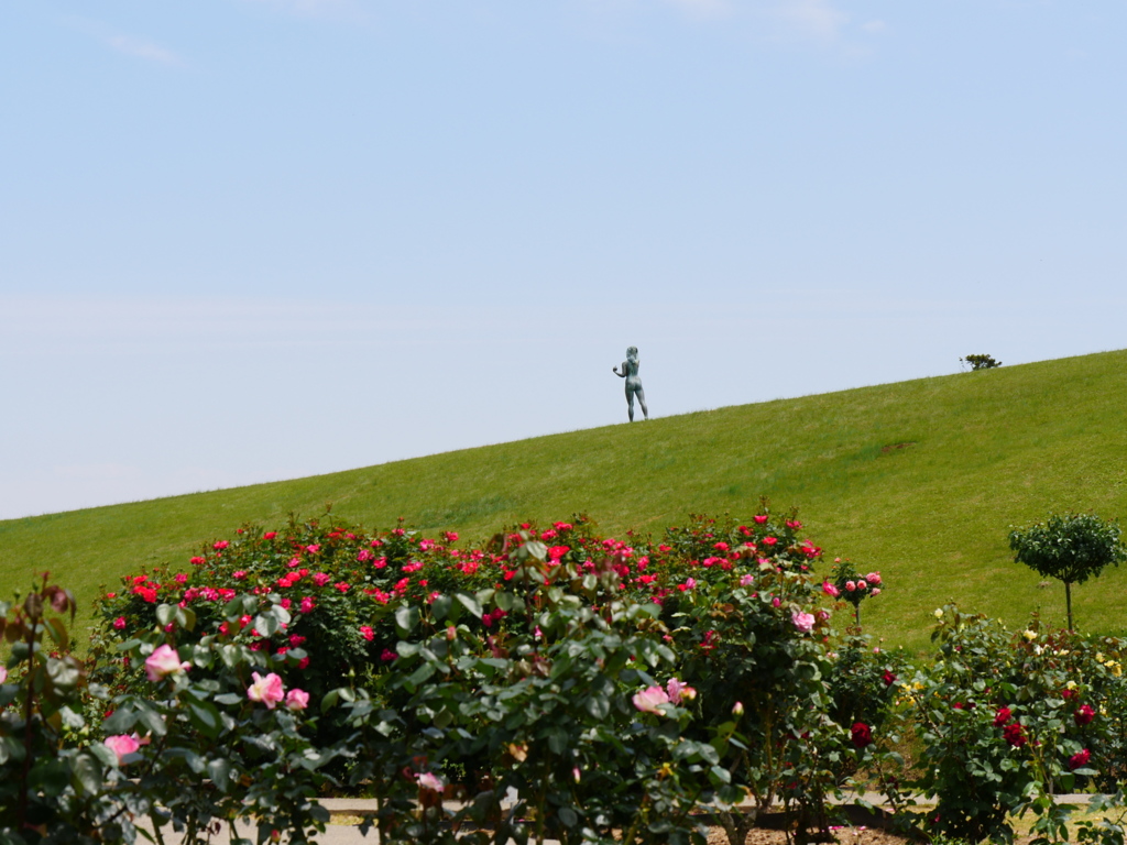 薔薇園の丘の風景