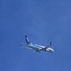 青空に映える