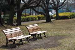 陽差し降りそそぐベンチ