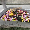 花手水