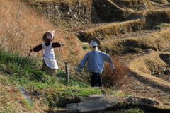 千枚田の家族