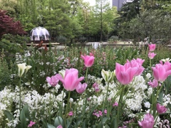 春の庭園