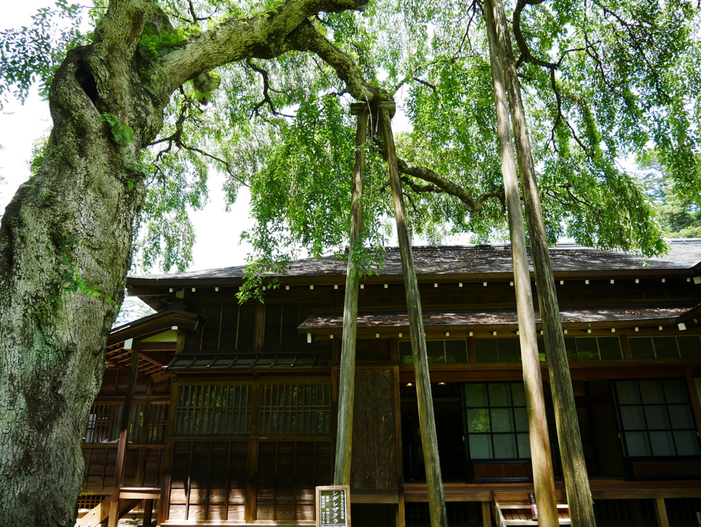 日光田母沢御用邸記念公園
