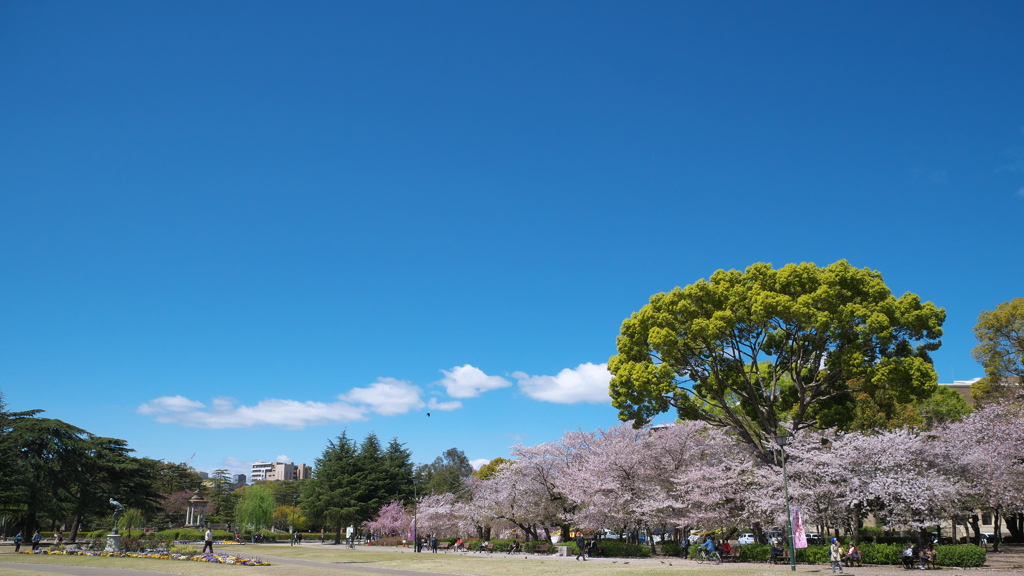 清々しい春の公園