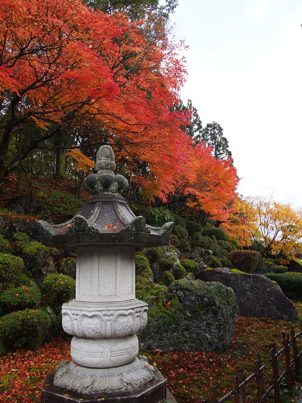 ゆの国の森紅葉