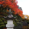 ゆの国の森紅葉