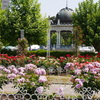 5月の薔薇園（’１７）
