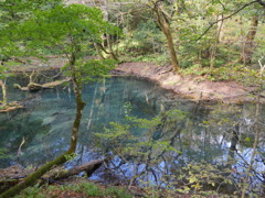 沸壺の池