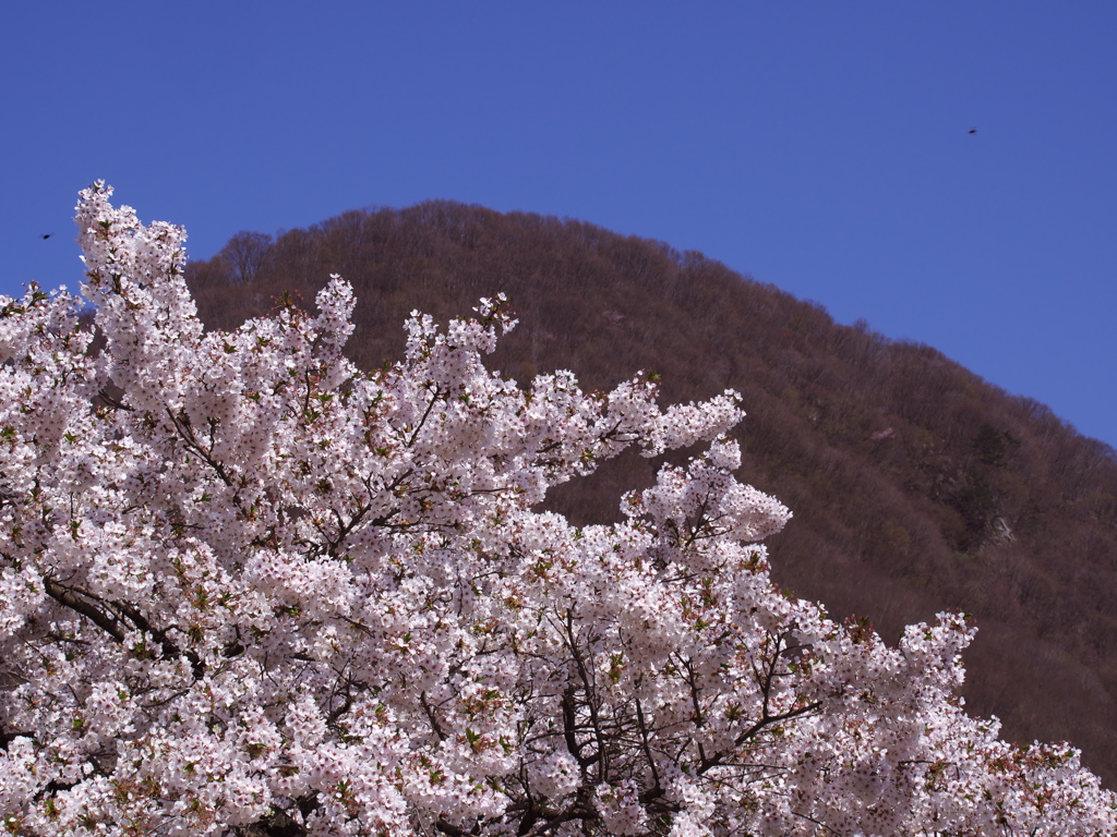 一年前の今日（会津鉄道　湯野上温泉）