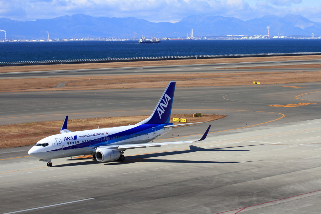 ANA　B-737-800