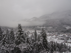 今年初！雪景色