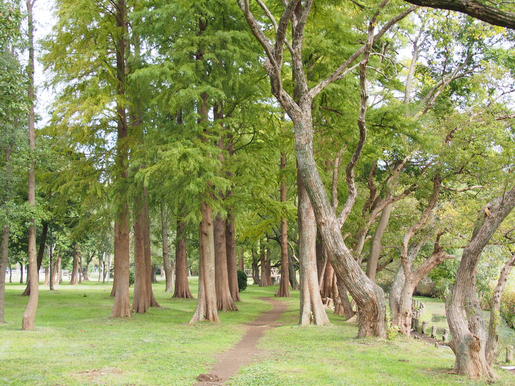 平日の公園①