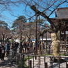 開花宣言を見守る人々