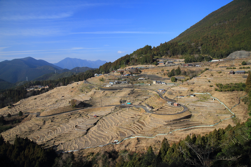 丸山千枚田の冬