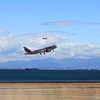 JetStar & ANA
