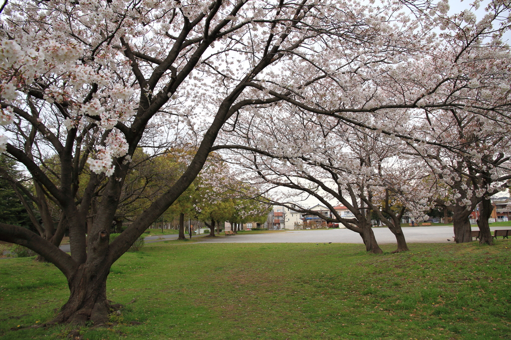 人のいない公園