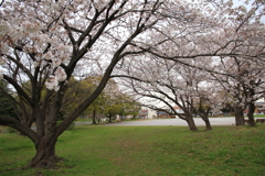 人のいない公園