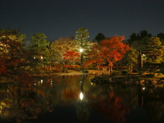 中ノ島　紅葉