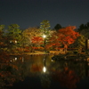 中ノ島　紅葉