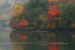 紅葉の湯ノ湖②