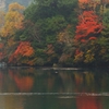 紅葉の湯ノ湖②