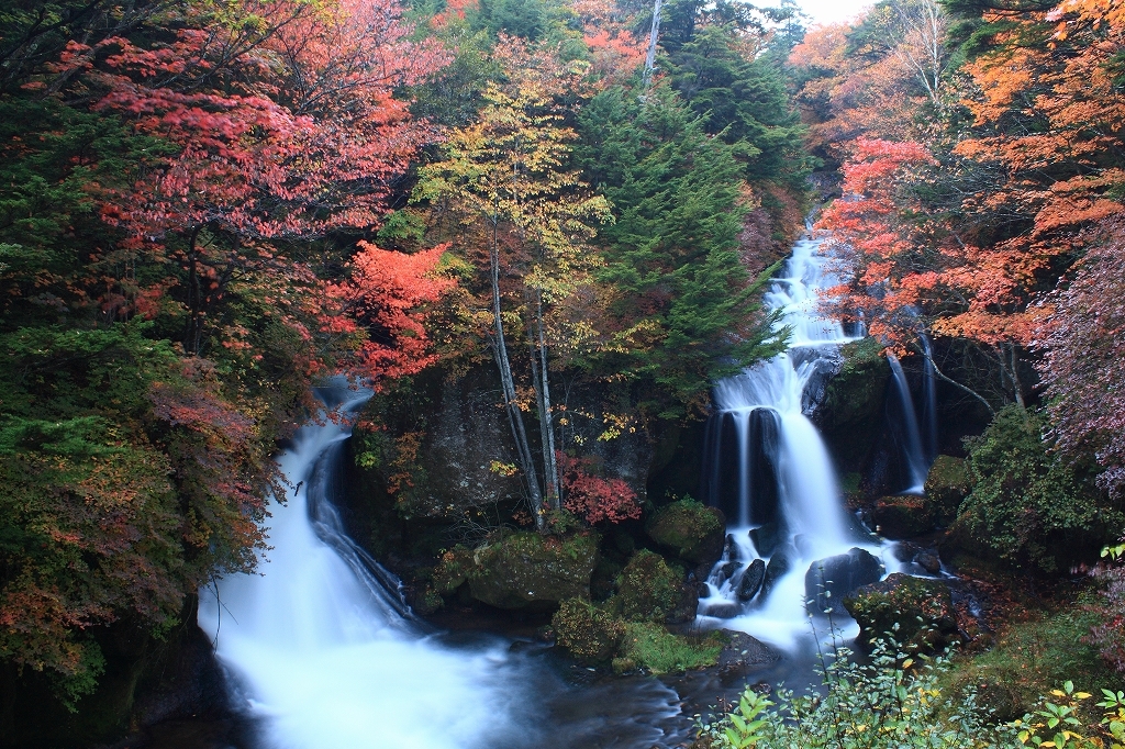 紅葉の竜頭ノ滝