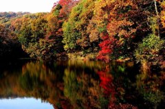 湖面に映る紅葉