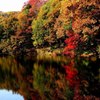 湖面に映る紅葉