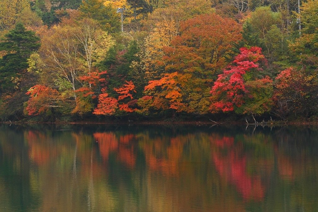 紅葉の湯ノ湖