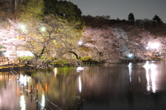 ちょっと明るめな井の頭公園の夜景