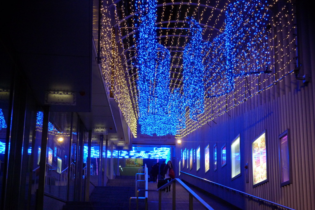 新宿のイルミネーション