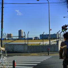 空と芝生