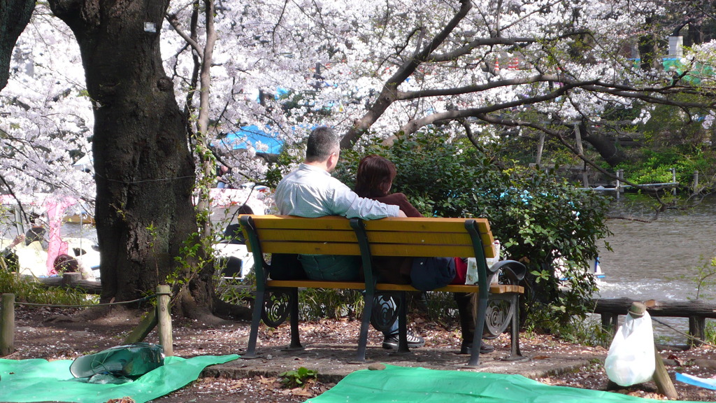 井の頭公園花見